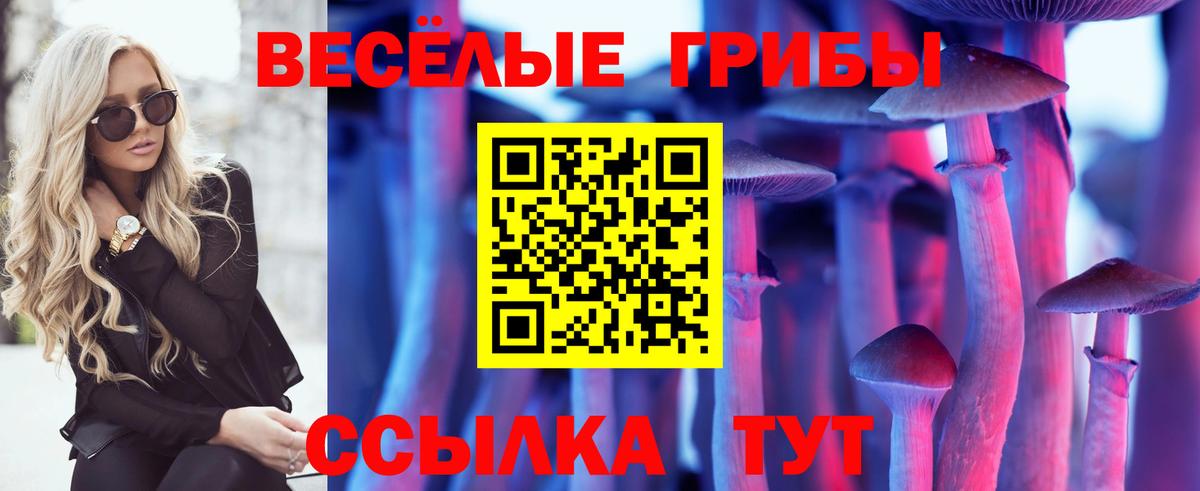 Галлюциногенные грибы MAGIC MUSHROOMS  купить наркотик  Коммунар  Вход с VPN 