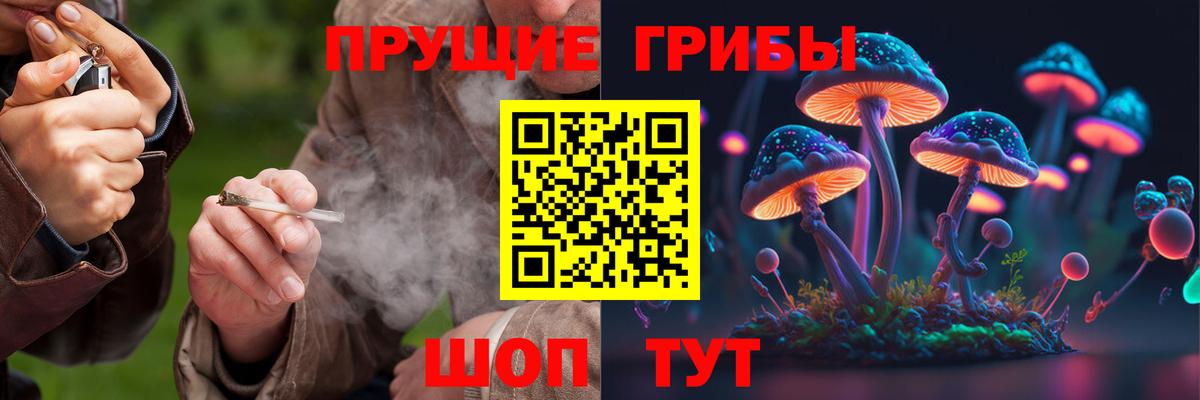 Галлюциногенные грибы мицелий Коммунар